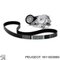 Ремінь приводний, агрегатів, комплект Peugeot 5008 