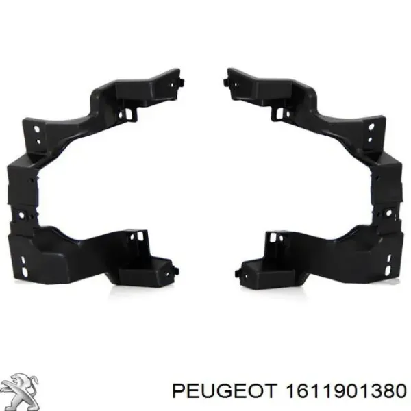  1611901380 Peugeot/Citroen