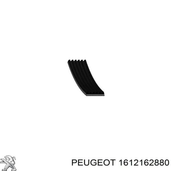 Ремінь генератора 1612162880 Peugeot/Citroen