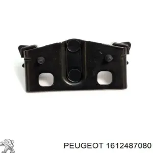 1612487080 PEUGEOT