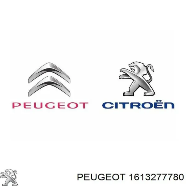 Накладка задньої 3-й/5-й двері 1613277780 Peugeot/Citroen