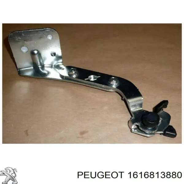  1616813880 Peugeot/Citroen