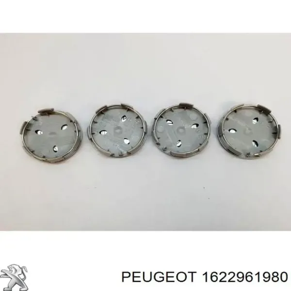  1622961980 Peugeot/Citroen