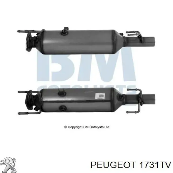 Сажевый фільтр 1731TV Peugeot/Citroen