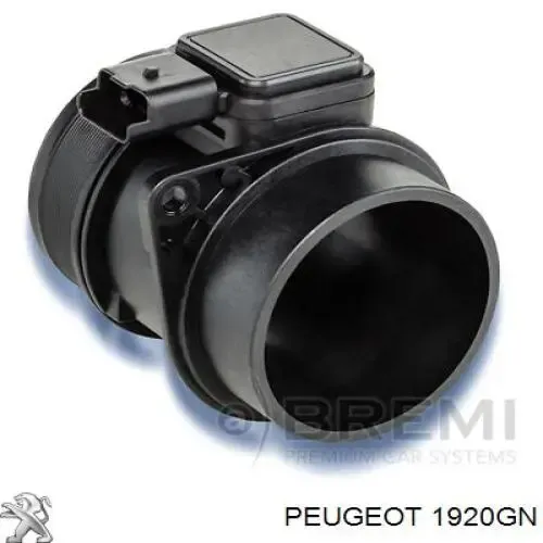 ДМРВ 1920GN Peugeot/Citroen