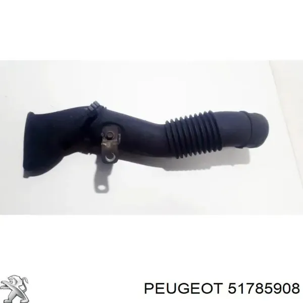  51785908 Peugeot/Citroen