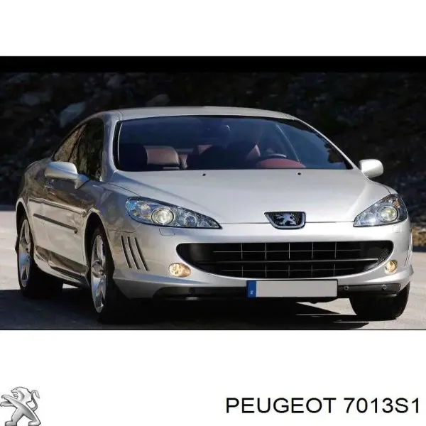 Захист двигуна 5748345 Polcar