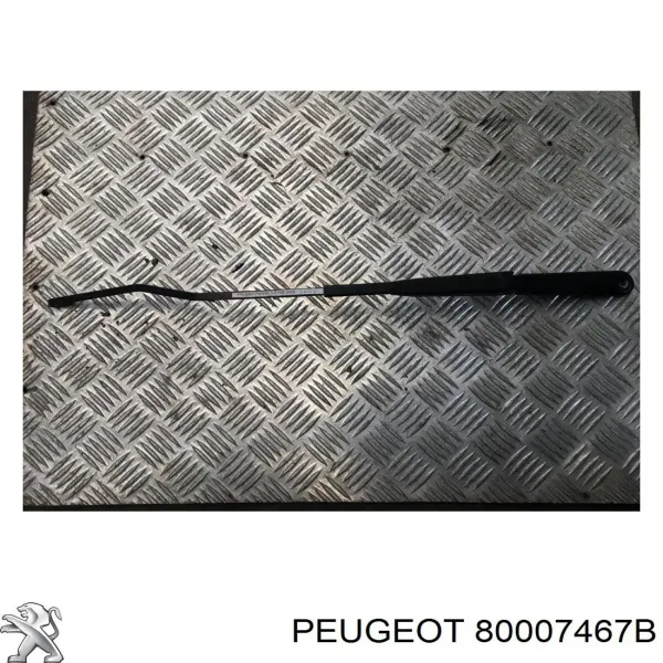  80007467B Peugeot/Citroen