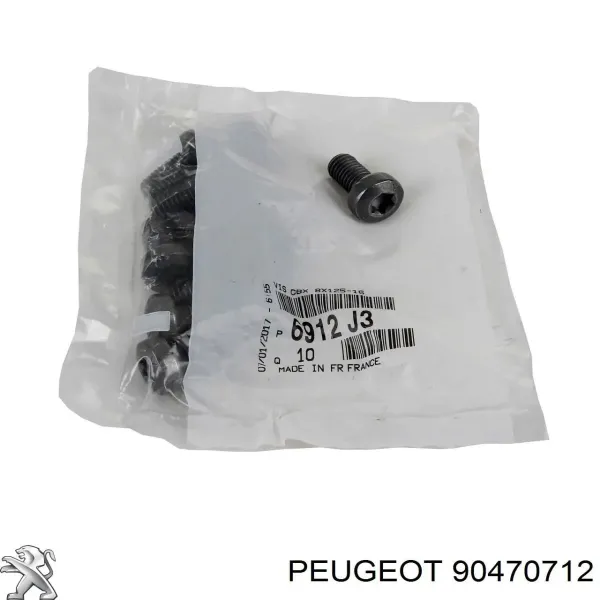 Болт кріплення корзини зчеплення 90470712 Peugeot/Citroen