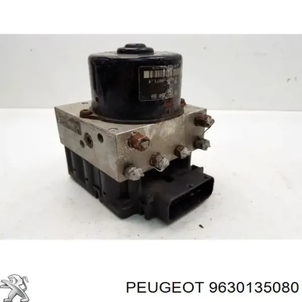 9630135080 Peugeot/Citroen