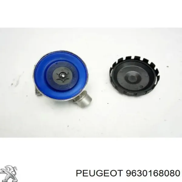  9630168080 Peugeot/Citroen