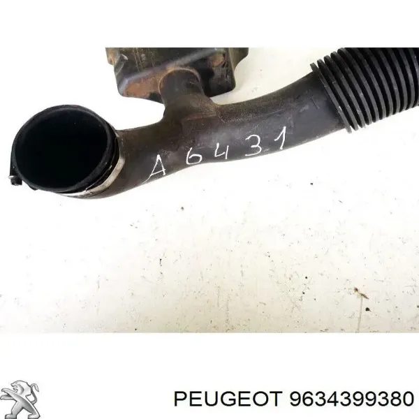  9634399380 Peugeot/Citroen