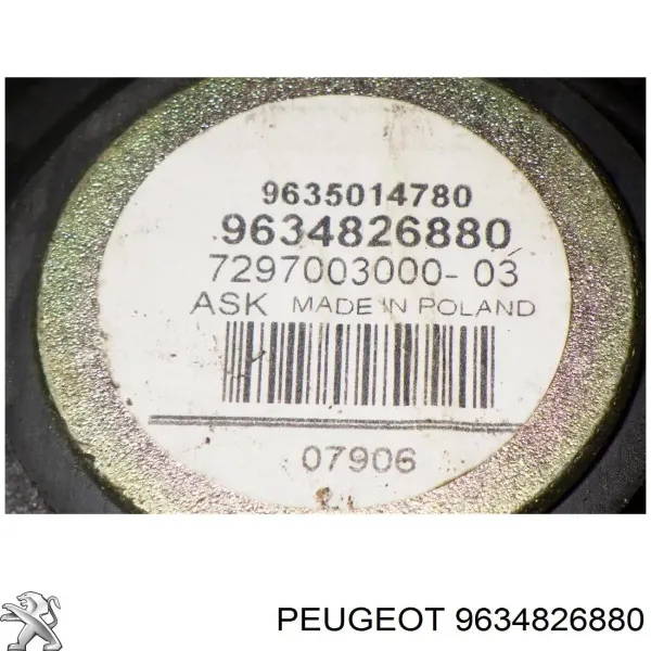  9634826880 Peugeot/Citroen