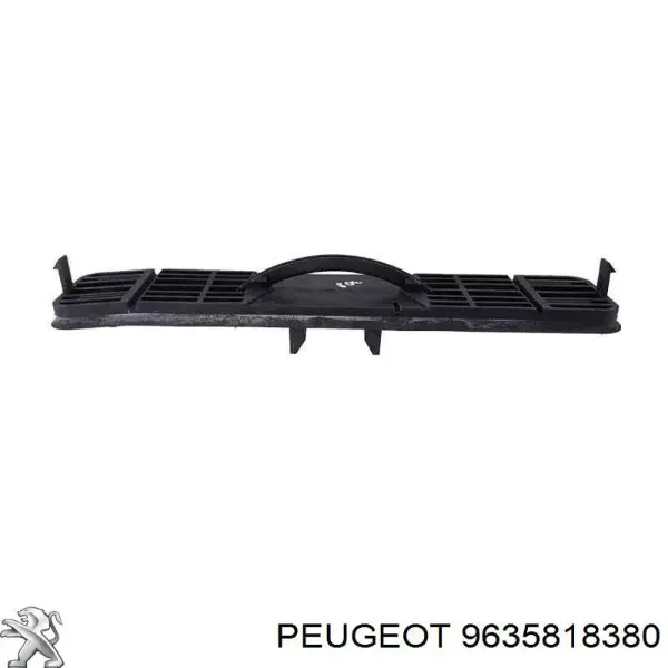  9635818380 Peugeot/Citroen