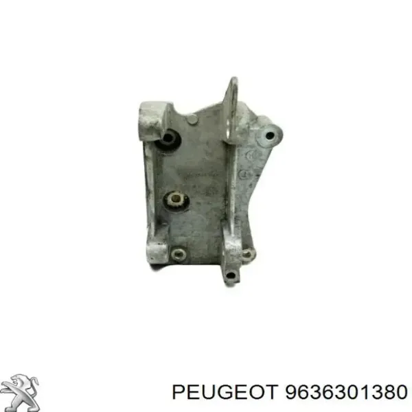  9636301380 Peugeot/Citroen