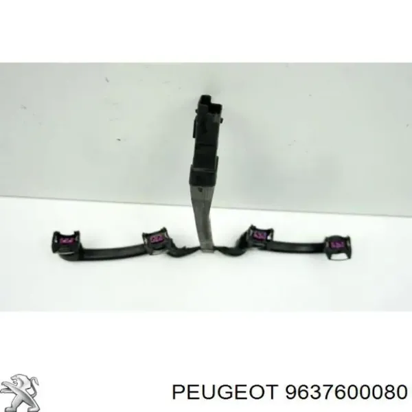  9637600080 Peugeot/Citroen