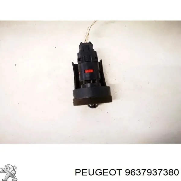  9637937380 Peugeot/Citroen