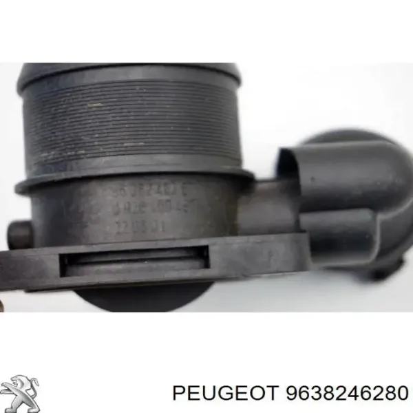  9638246280 Peugeot/Citroen