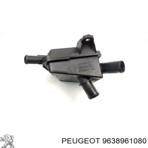 9638961080 Peugeot/Citroen