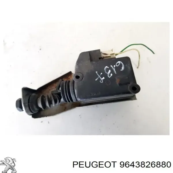  9643826880 Peugeot/Citroen