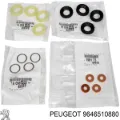 Ремкомплект форсунок Peugeot Expert VF3V