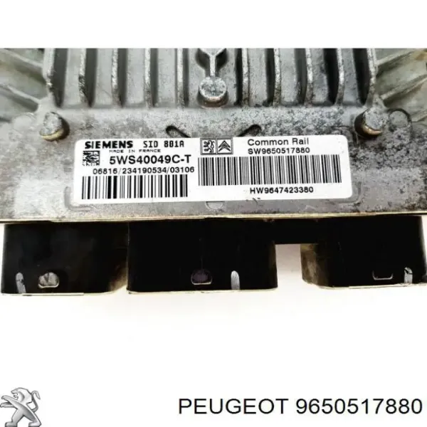  9650517880 Peugeot/Citroen