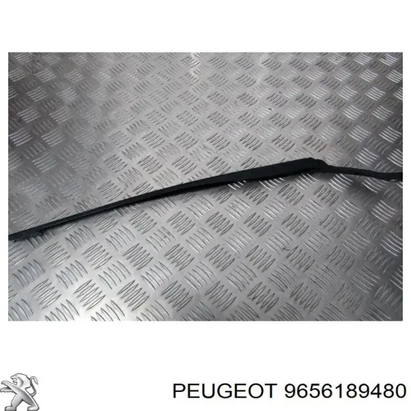 9656189480 Peugeot/Citroen