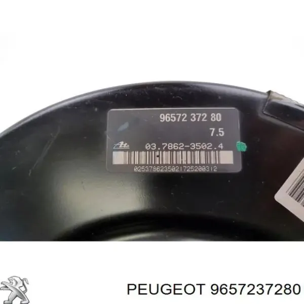  9657237280 Peugeot/Citroen