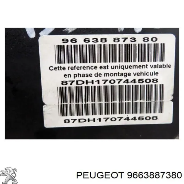  9663887380 Peugeot/Citroen