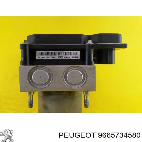  9665734580 Peugeot/Citroen