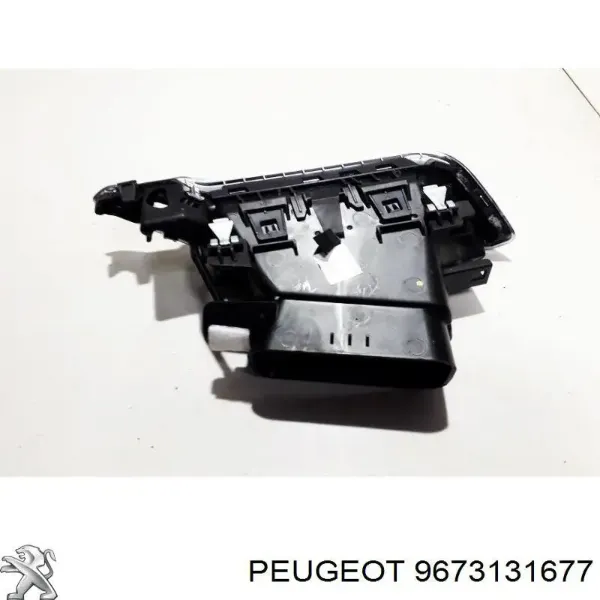  9673131677 Peugeot/Citroen