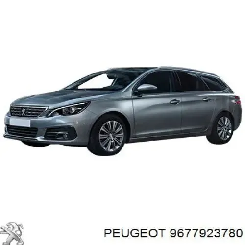  9677923780 Peugeot/Citroen