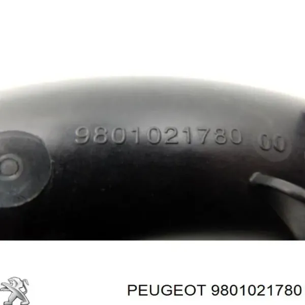 Патрубок повітряний, вихід повітряного фільтра 9801021780 Peugeot/Citroen