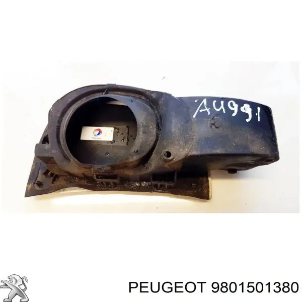 Горловина паливного бака 9801501380 Peugeot/Citroen