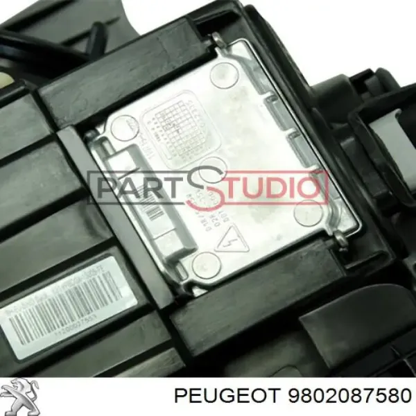  9802087580 Peugeot/Citroen