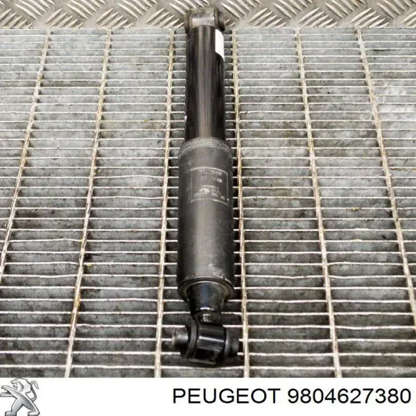  9804627380 Peugeot/Citroen