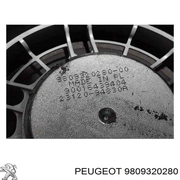 Динамік задньої двері 9809320280 Peugeot/Citroen