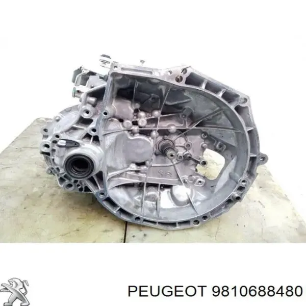  9810688480 Peugeot/Citroen
