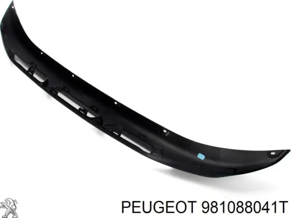  FP5439921 FPS