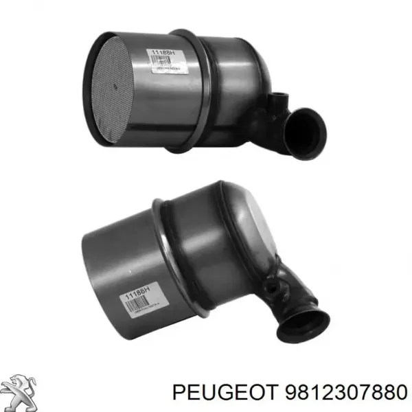 Сажевый фільтр 9812307880 Peugeot/Citroen