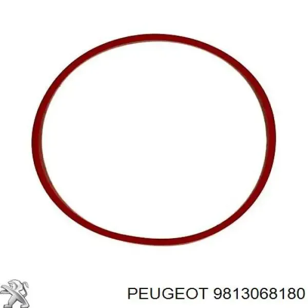 Прокладка EGR-клапана рециркуляції 9813068180 Peugeot/Citroen