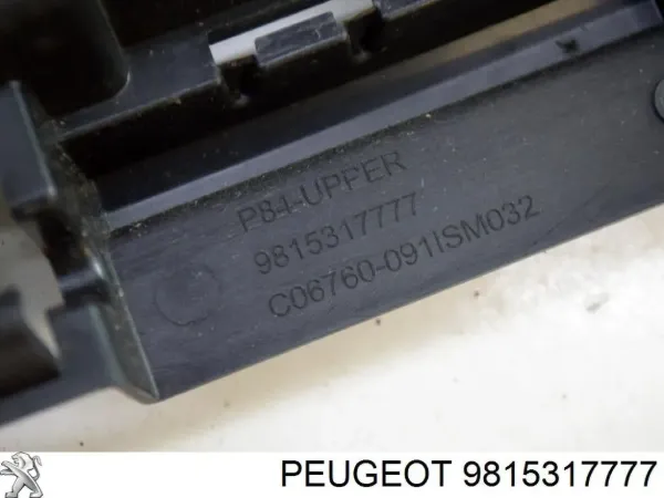  9815317777 Peugeot/Citroen