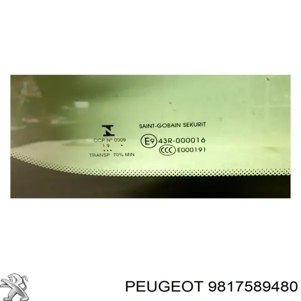  9817589480 Peugeot/Citroen