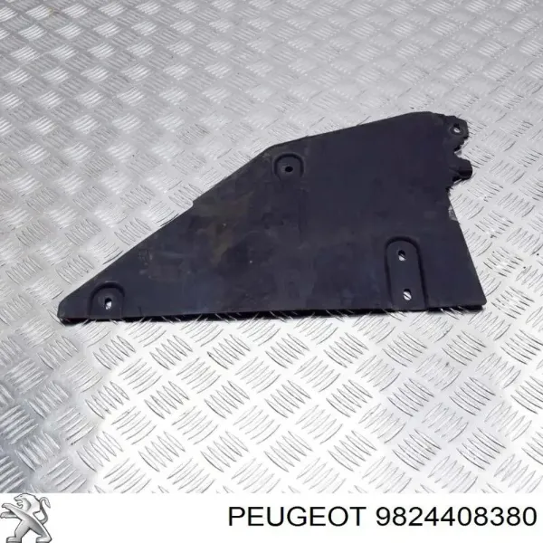  9824408380 Peugeot/Citroen