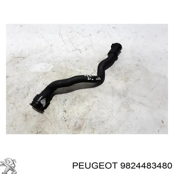  9824483480 Peugeot/Citroen
