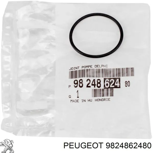  9824862480 Peugeot/Citroen