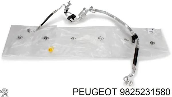  9825231580 Peugeot/Citroen