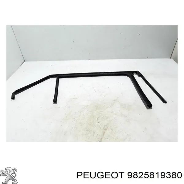  9825819380 Peugeot/Citroen
