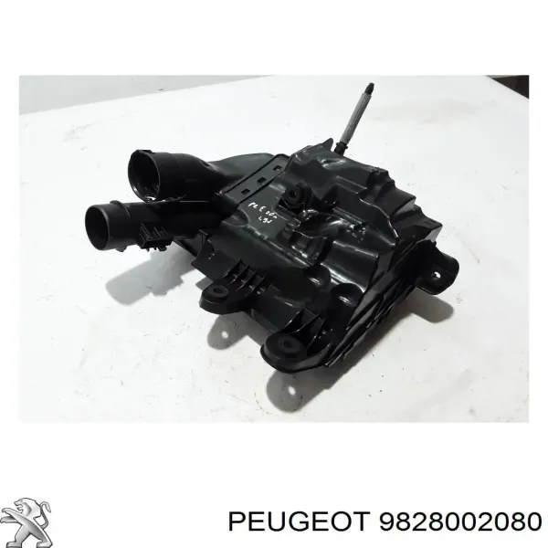 Корпус фільтра 9828002080 Peugeot/Citroen