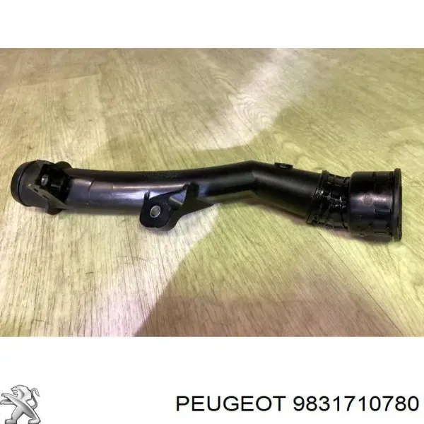 Шланг/патрубок интеркуллера 9810958380 Peugeot/Citroen